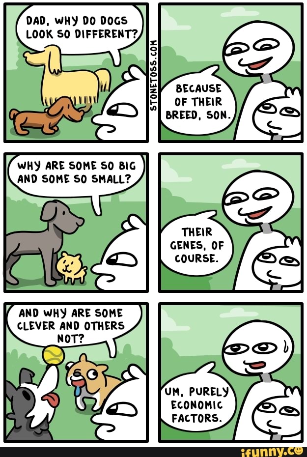 DAD, WHY DO DOGS LOOK SO DIFFERENT? STONETOSS.COK BECAUSE OF THEIR