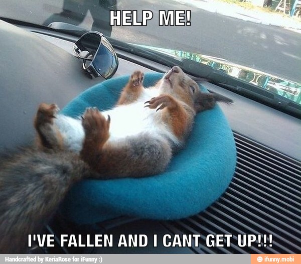 I'VE FALLEN AND I CANT,