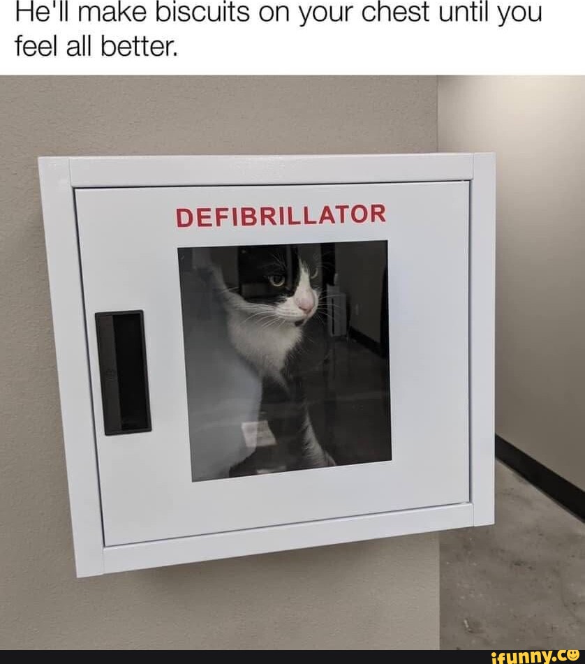 Piscurtts on your chest until you feel all better. DEFIBRILLATOR iFunny