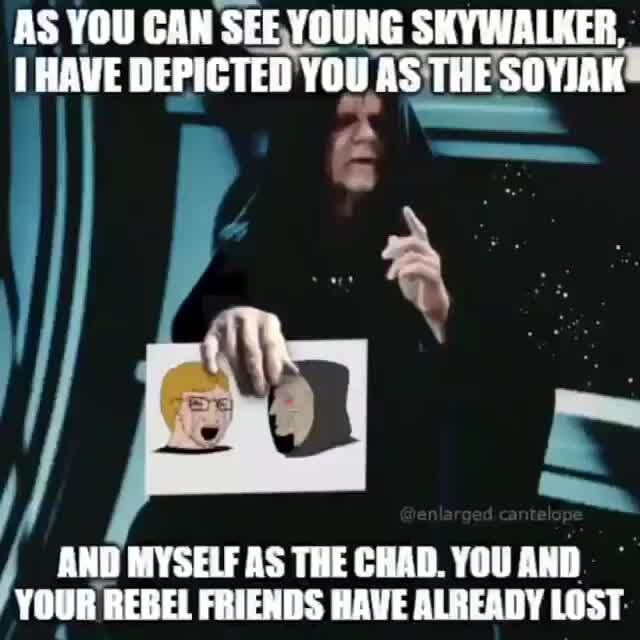 As You Con See Young Skywalker Have Depicted You As The Soyjak If And Myseuf As The Crad You And Your Rebel Fbierds Hage Slready Lost