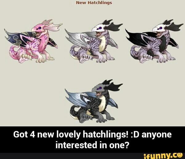 Got 4 new lovely hatchlings! :D anyone
interested in one? - Got 4 new lovely hatchlings! :D anyone interested in one?