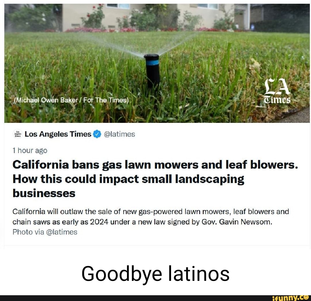 Wag Los Angeles Times latimes 1 hour ago California bans gas lawn