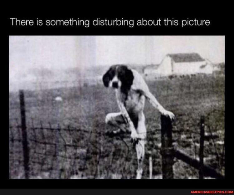 There is something disturbing about this picture
