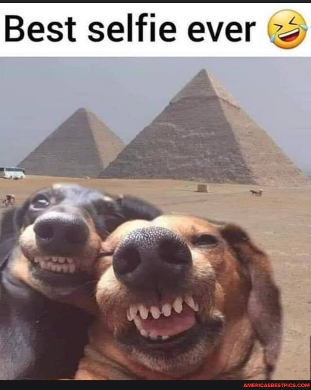 Best selfie ever