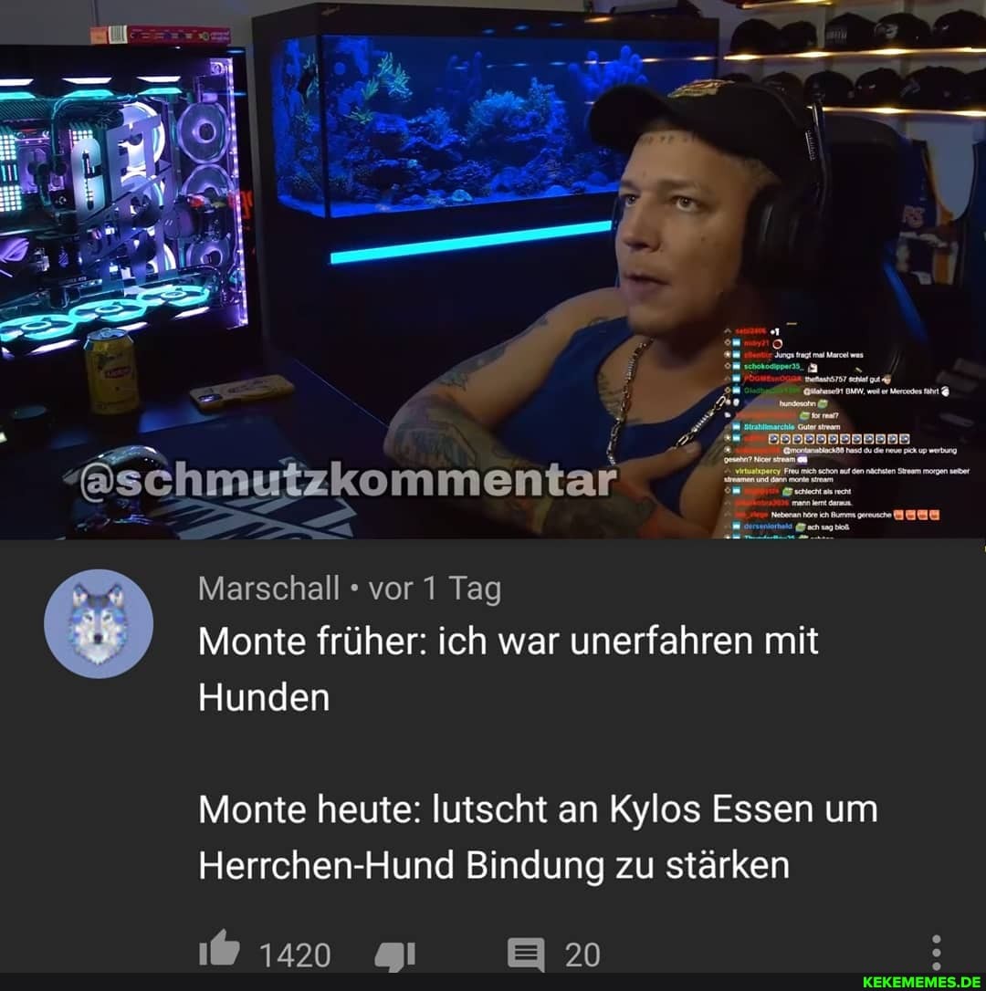 @schmutzkommentar
Marschall vor 1 Tag
Monte früher: ich war unerfahren mit
Hunden
Monte heute: lutscht an Kylos Essen um
Herrchen-Hund Bindung zu stärken
1420