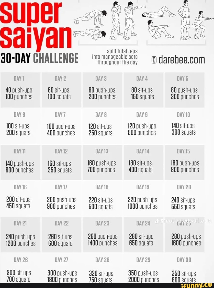 30 DAY CHALLENGE DAYI push ups 100 punches DAYE 100 sit ups 200