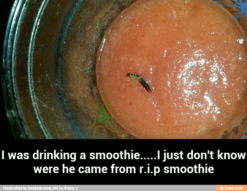 I was drinking a smoothie.....I just don't know
were he came from r.i.p smoothie - I was drinking a smoothie.....I just don't know were he came from r.i.p smoothie