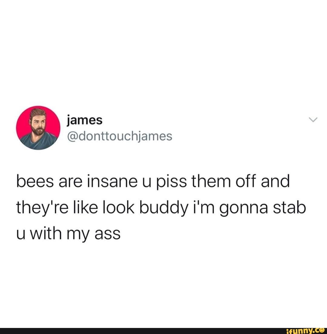 bees are insane u piss them off and
they're like look buddy i'm gonna stab
u with my ass
