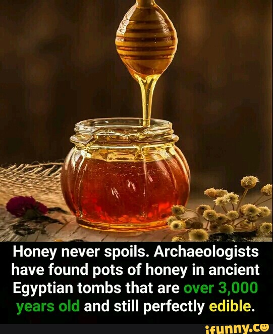 Honey Never Spoils Archaeologists Have Found Pots Of Honey In Ancient Egyptian Tombs That Are