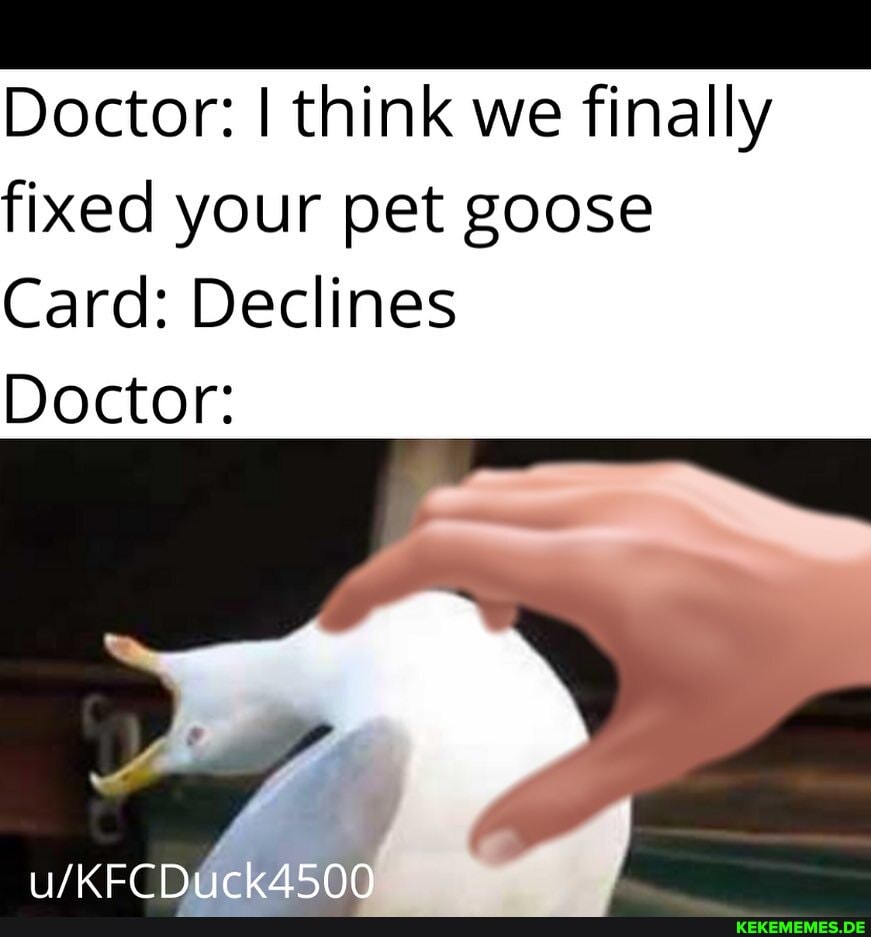 Doctor: I think we finally fixed your pet goose
Card: Declines
Doctor: