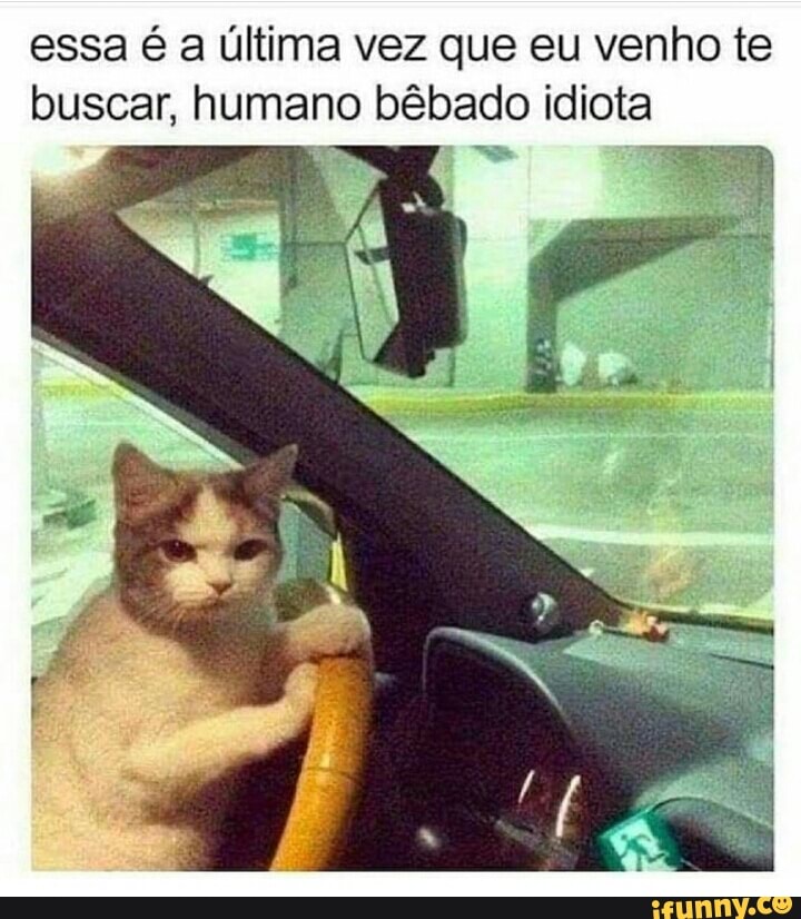 essa é a última vez que eu venho te
buscar, humano bêbado idiota