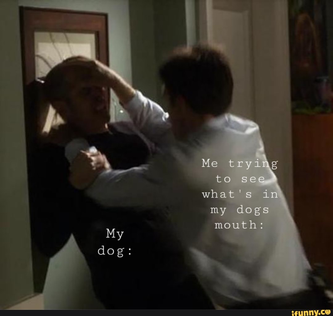 \ Me trying to see
what's in my dogs
mouth:
My
dog: