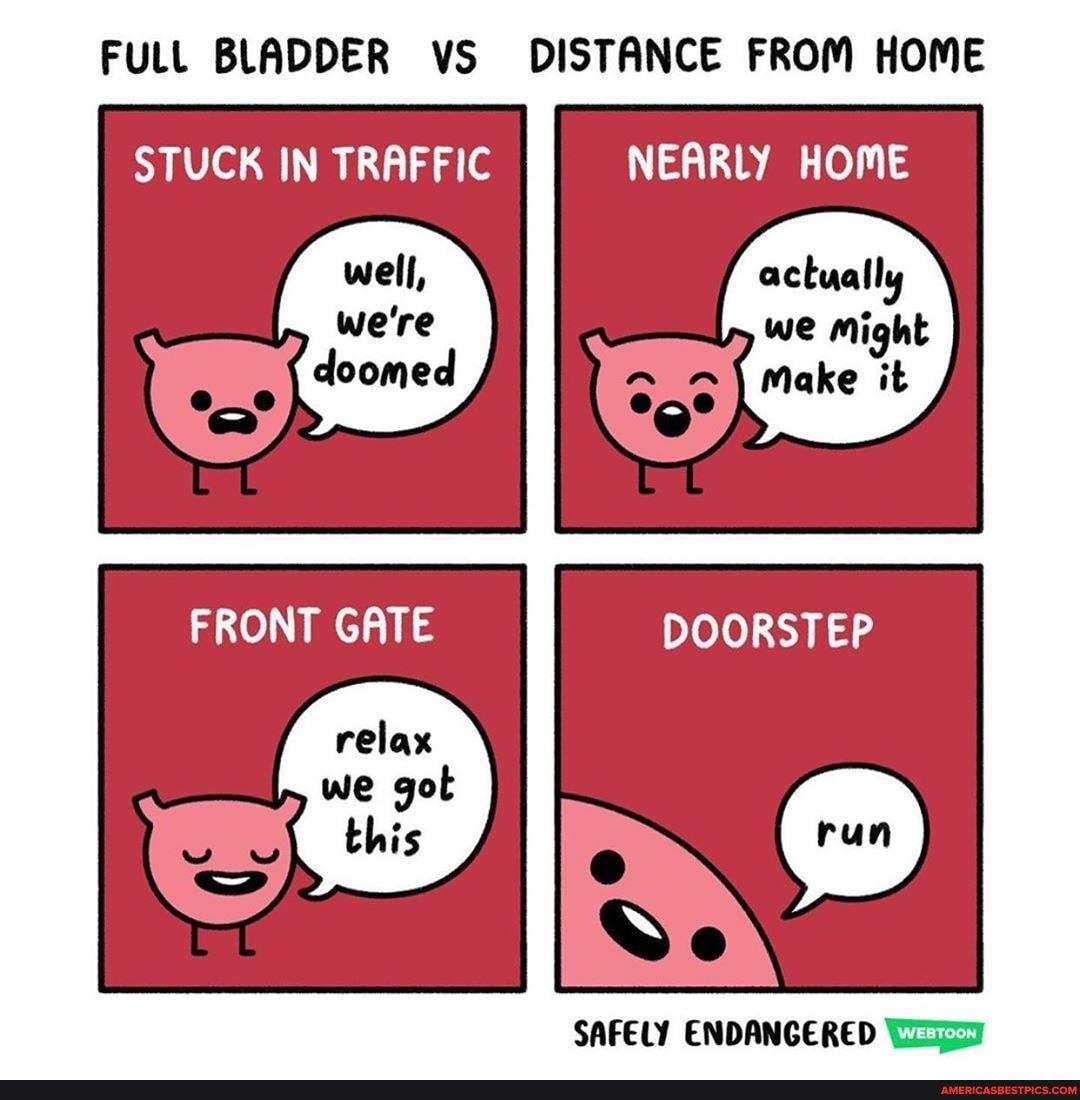 FULL BLADDER vS DISTANCE FROM HOME
STUCK IN TRAFFIC NEARLY HOME
actually
FRONT GATE DOORSTEP
SAFELY ENDANGERED