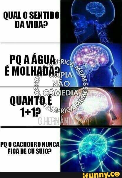 PQ O CACHORRO
NUNCA
FIGA DE GU SUJO?