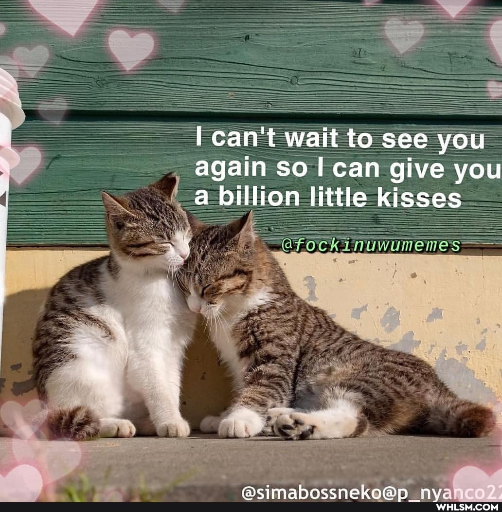 can't wait to see you again so can give you a billion little kisses
ss
