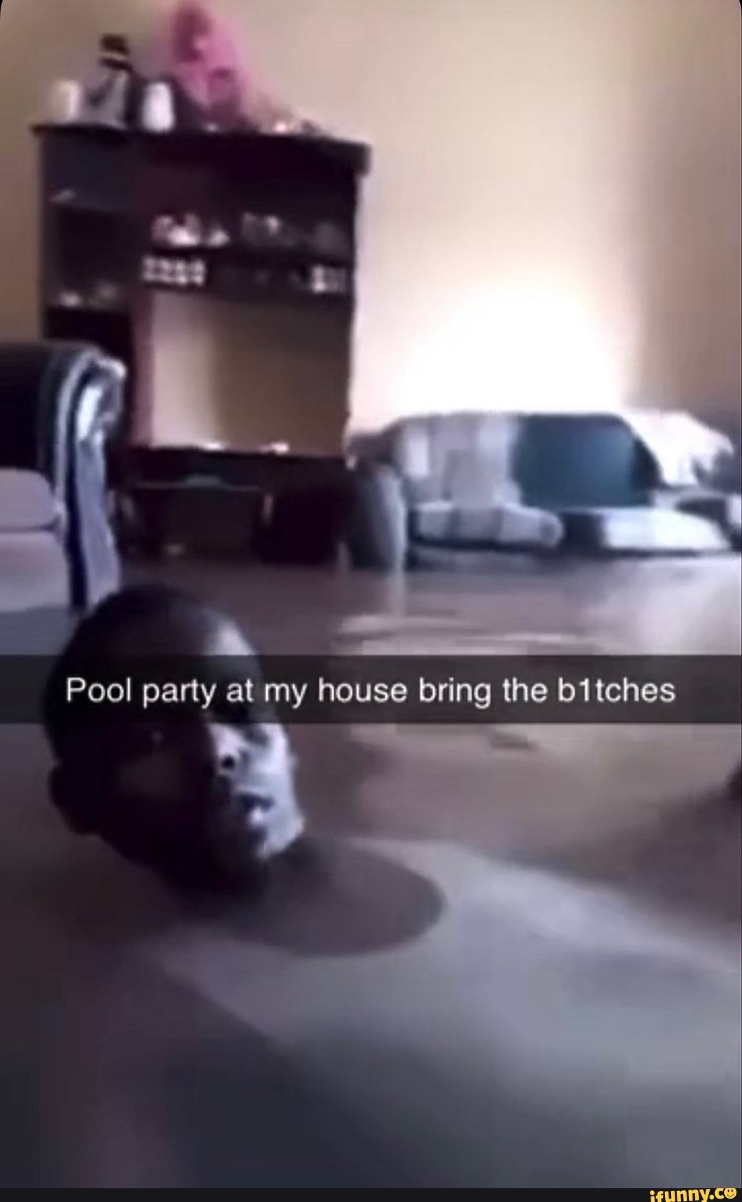 Pool party at my house bring the bitches - iFunny