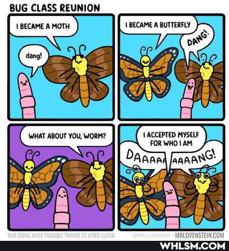 BUG CLASS REUNION
BECAME A BUTTERFLY