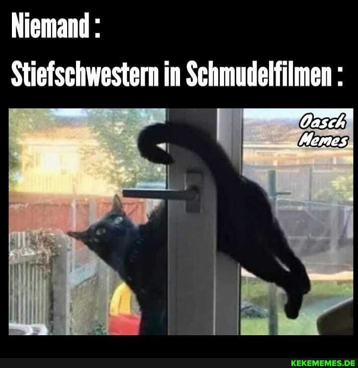 Niemand :
Stiefschwestern in Schmudelfilmen