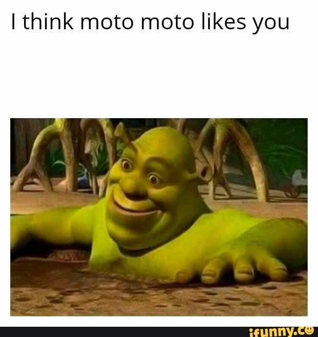 I think moto moto likes you iFunny