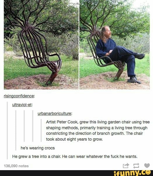 risingconfidence:
urbanarboriculture:
Artist Peter Cook, grew this living garden chair using tree
shaping methods, primarily training a living tree through
constricting the direction of branch growth. The chair
took about eight years to grow.
he's wearing crocs
He grew a tree into a chair. He can wear whatever the fuck he wants.