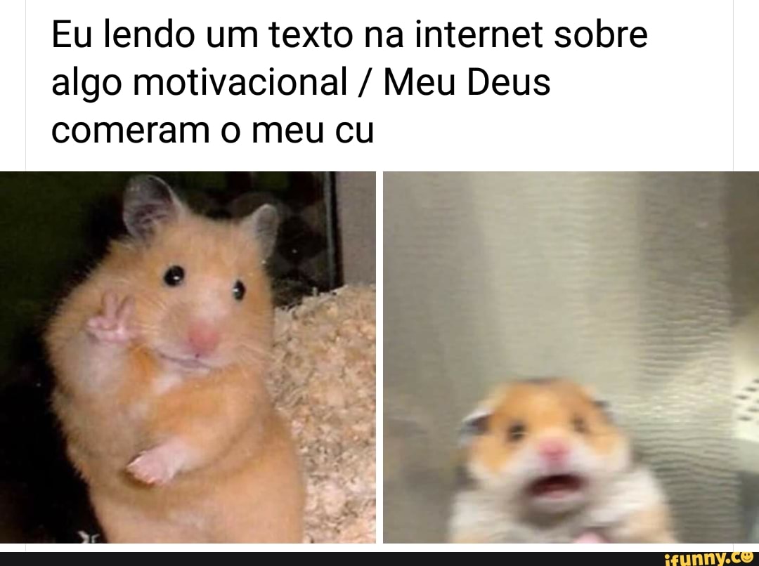 Eu lendo um texto na internet sobre
algo motivacional Meu Deus
comeram o meu cu