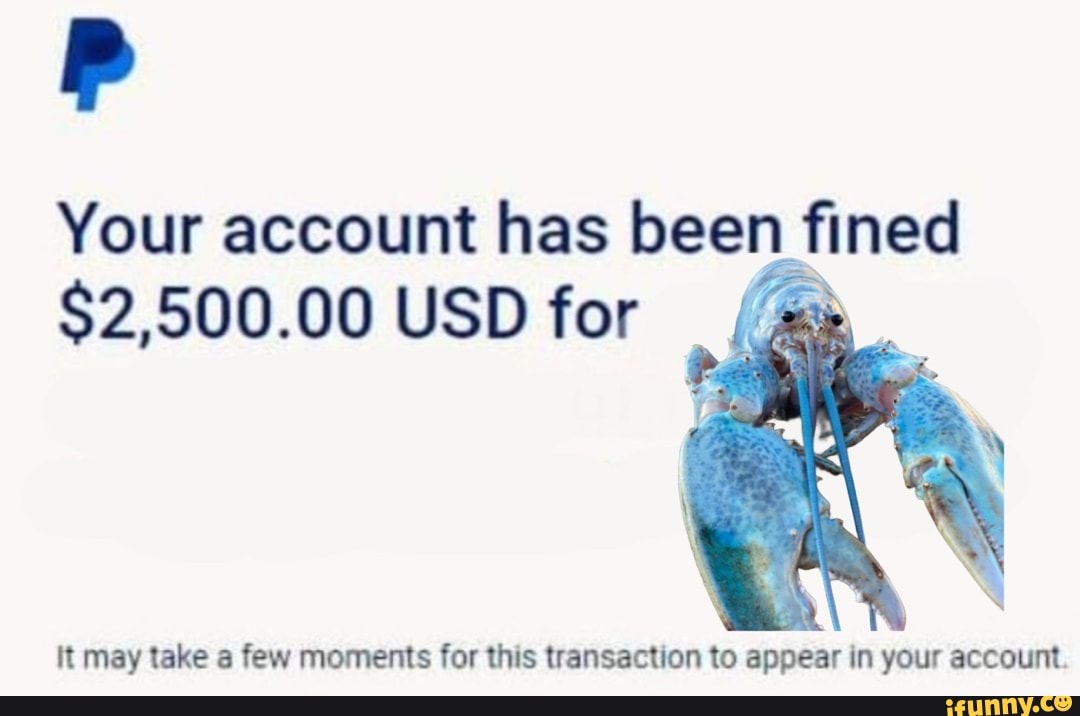 your-account-has-been-fined-2-500-00-usd-for-it-may-take-a-few-moments