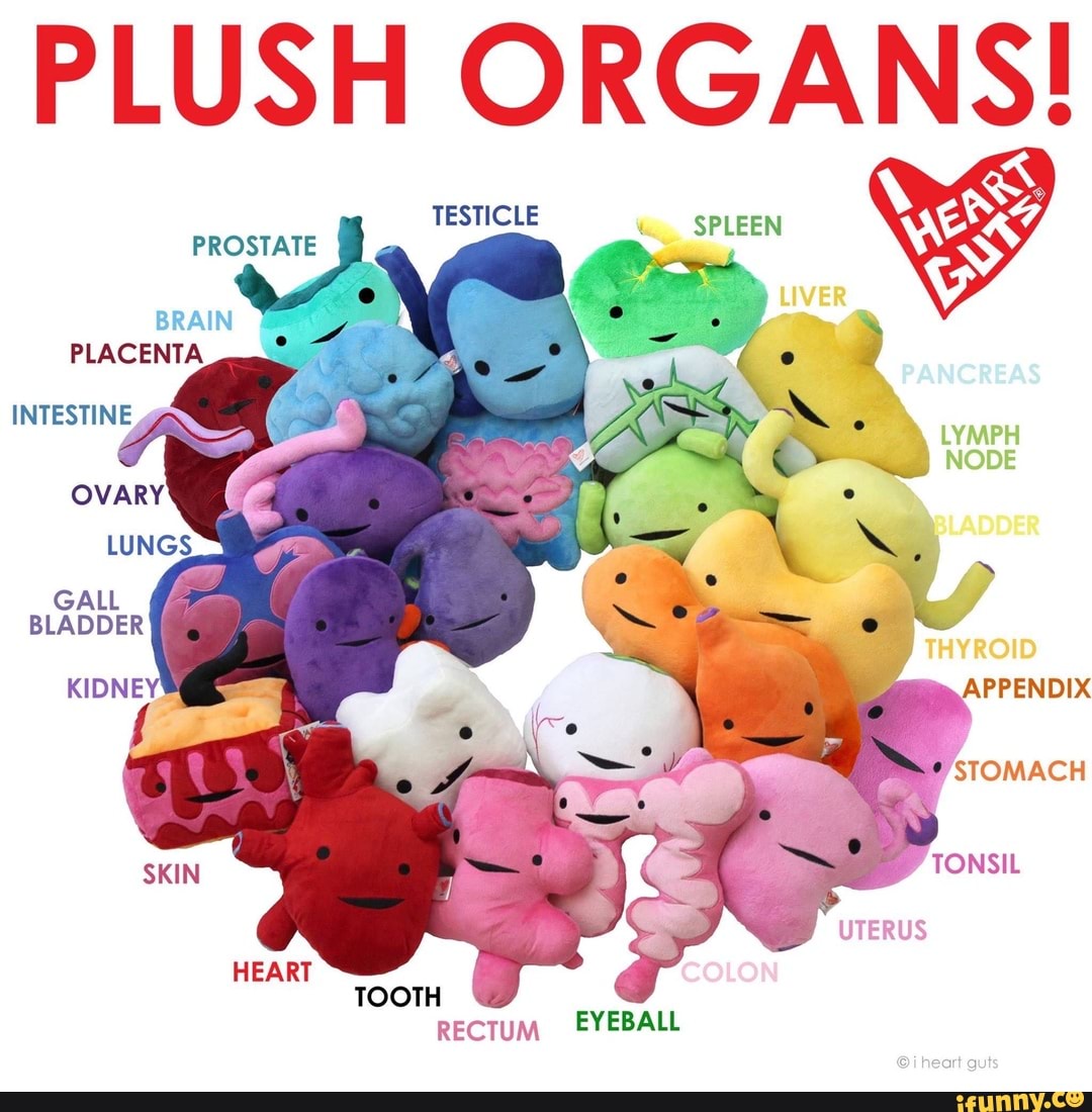 Plush Organs Prostate Ifunny