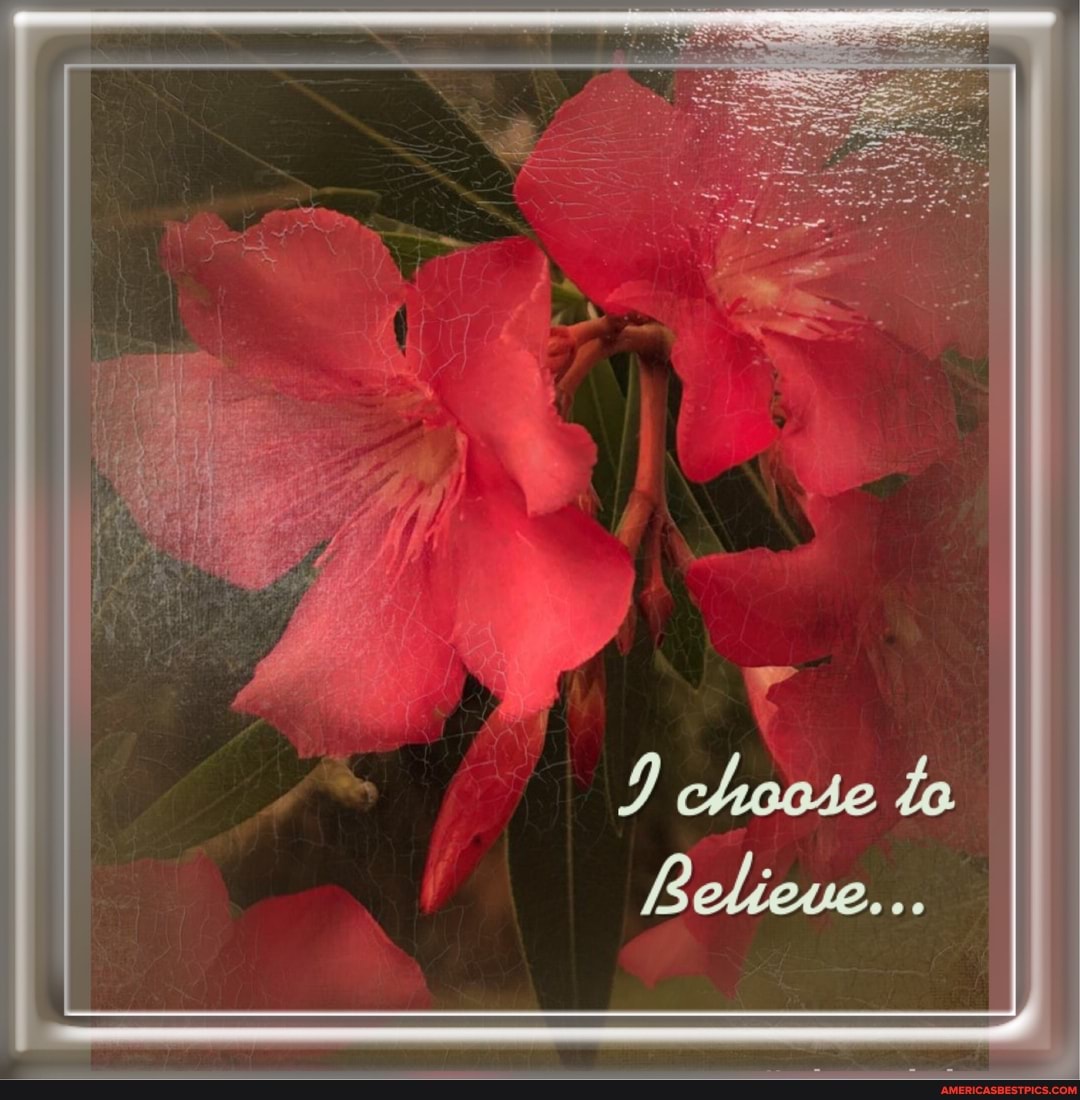 choose to
Believe...