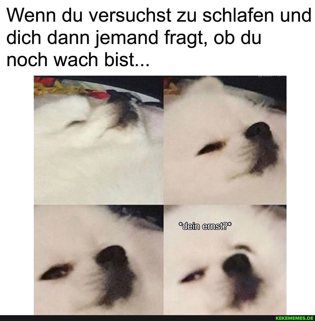 Wenn du versuchst zu schlafen und dich dann jemand fragt, ob du noch wach bist...
*dein ernst?*