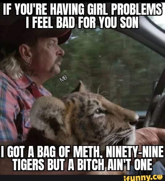 IF YOU'RE HAVING GIRL PROBLEMS
I FEEL BAD FOR YOU ul
1 GOT A BAG OF METH. NINETY-NINE
TIGERS BUT, A BITCH, AINIT, ONE