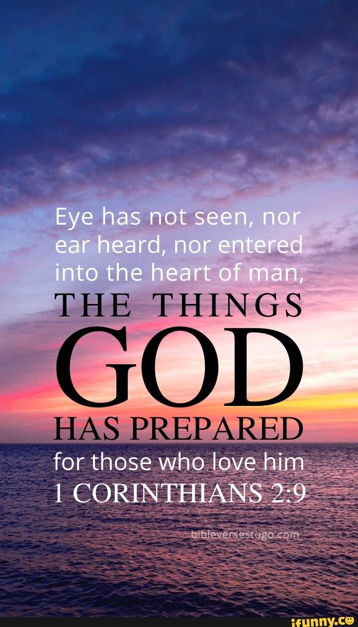 Eye has not seen, nor ear heard, nor entered into the heart of man, THE