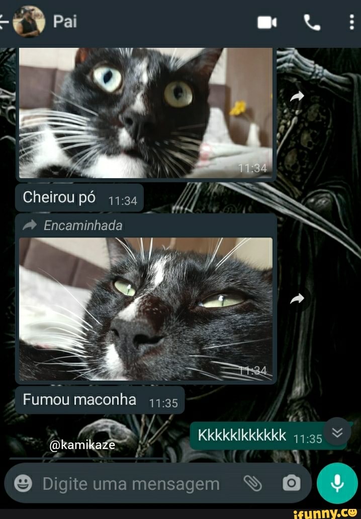 Pai
Cheirou pó
Encaminhada
4 Fumou maconha
Digite uma mensagem S (9)