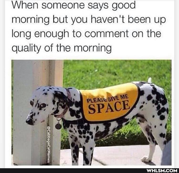 When someone says good morning but you haven't been up long enough to comment on the quality of the morning