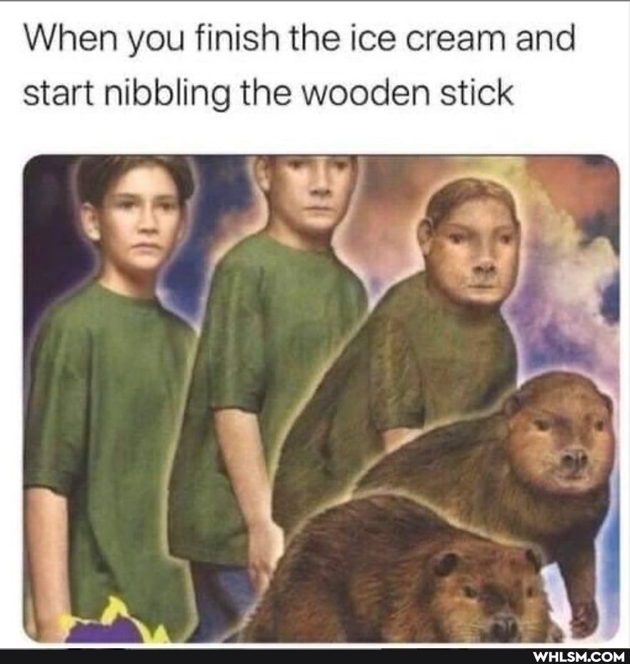 When you finish the ice cream and start nibbling the wooden stick