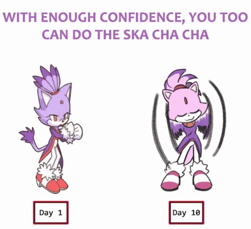 WITH ENOUGH CONFIDENCE YOU TOO CAN DO THE SKA CHA CHA iFunny