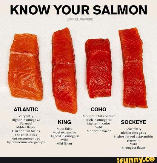 KNOW YOUR SALMON ATLANTIC COHO very fatty Moderate fat content KING