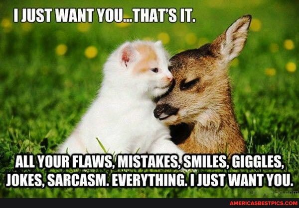 JUST WANT YOU- THAT'S IT.
ALL YOUR FLAWS, MISTAKES: SMILES, GIGGLES,
JOKES. SARCASM. EVERYTHING. JUST WANT YOU: