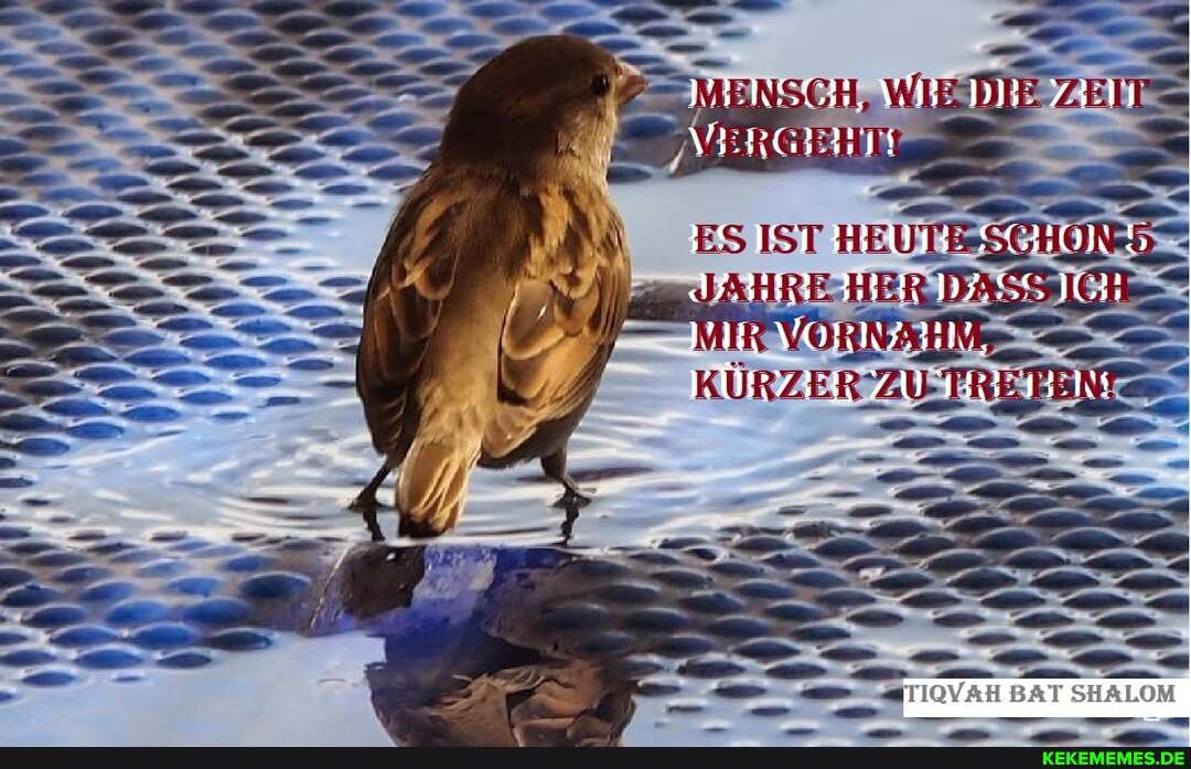 BENSCH, WIE DIE ZEN VERGEHT
IST HEU SCHON BER DASSICH IR VORNZIIN,
KÜRZER ZU TRETES
IQYAH BAT SHALOM