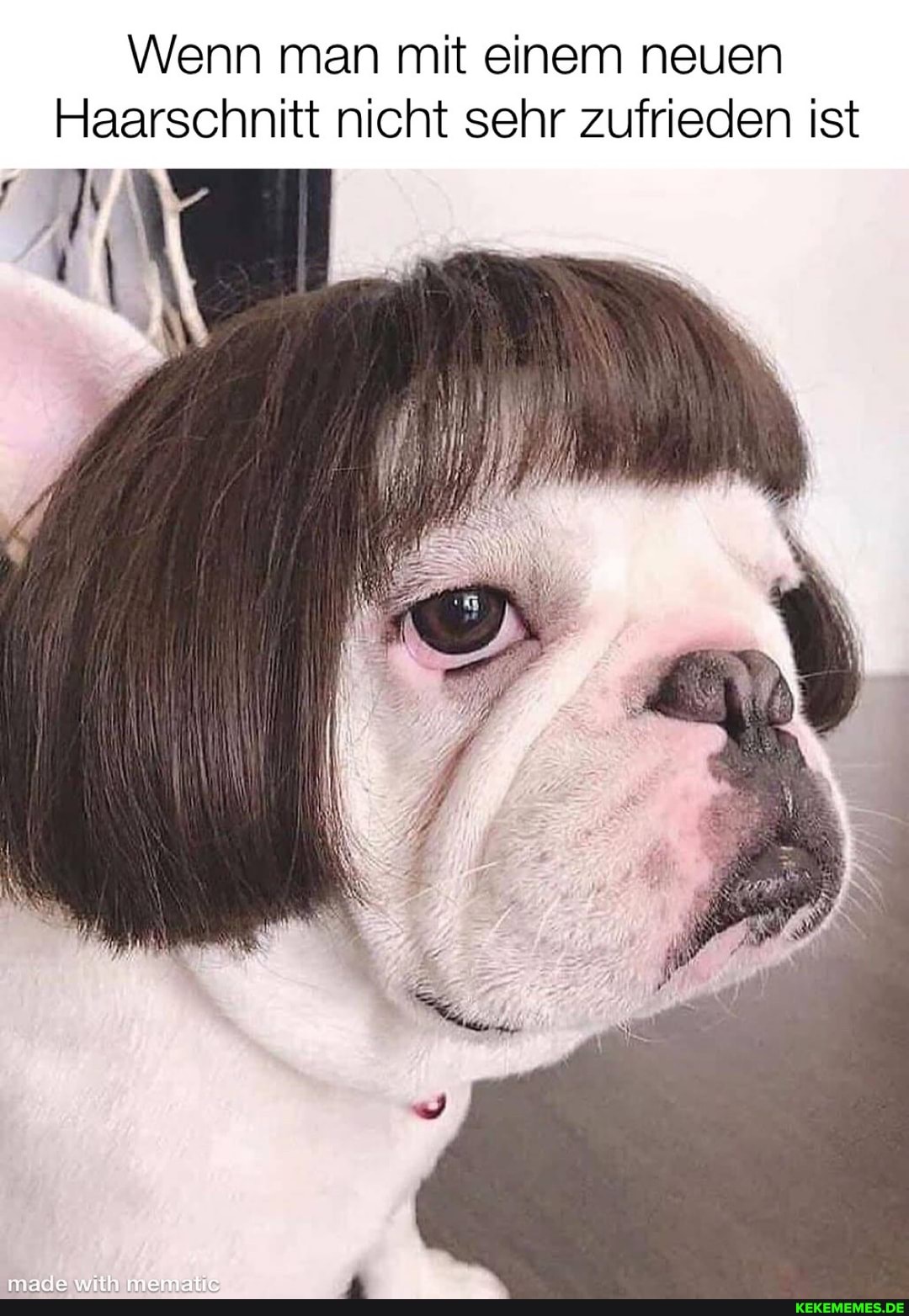Wenn man mit einem neuen
Haarschnitt nicht sehr zufrieden ist
made with