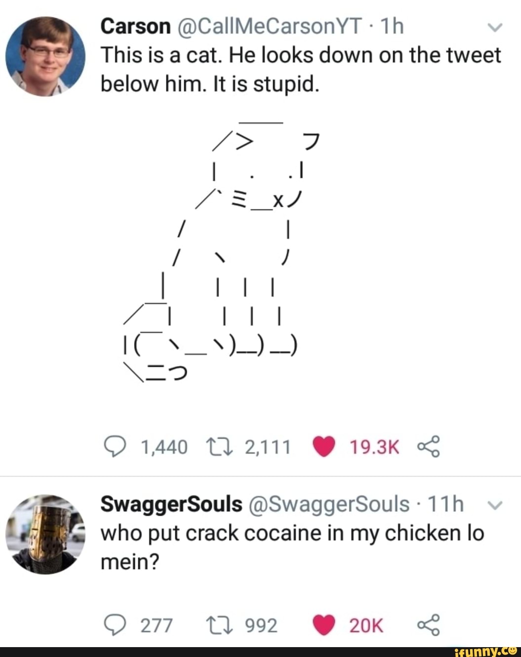 Carson Callmecarsonyt This Is A Cat He Looks Down On The Tweet Below Him It Is
