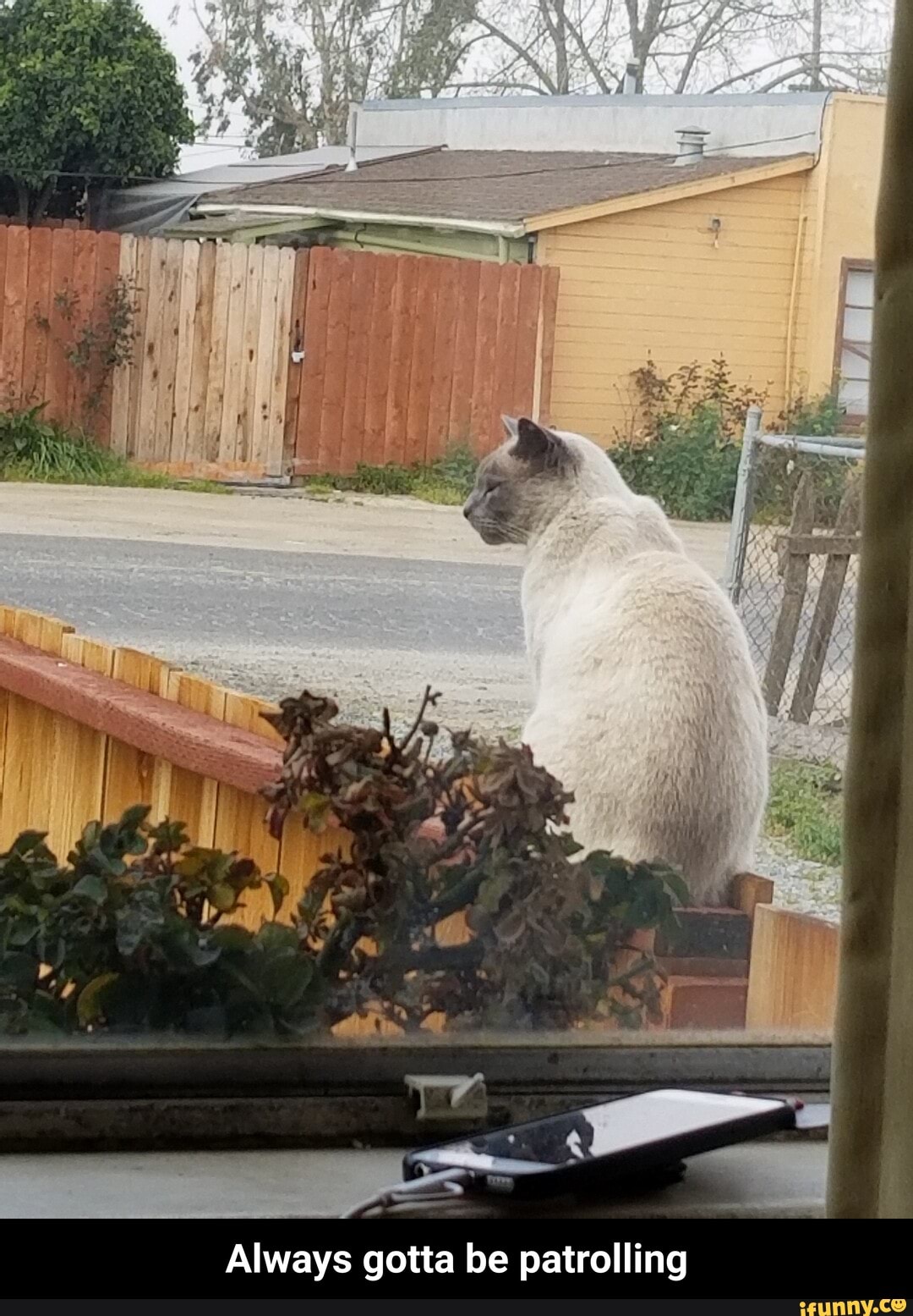 Always gotta be patrolling - Always gotta be patrolling