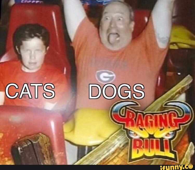 Doglogic memes. Best Collection of funny Doglogic pictures on iFunny