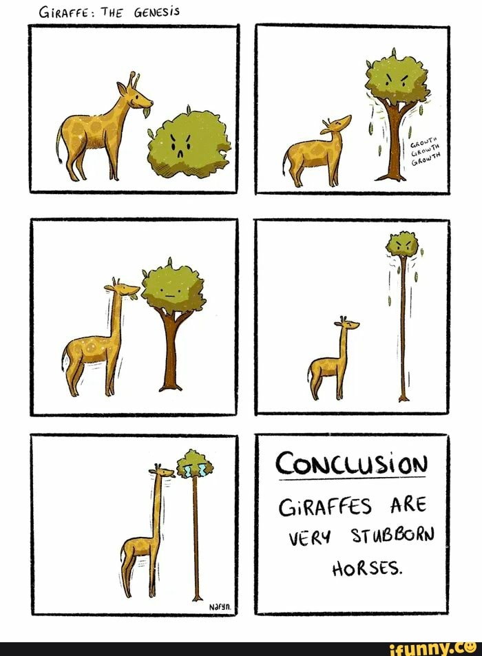 GiRAFFE: THE GENESIS
CONCLUSION
GiRAFFES ARE