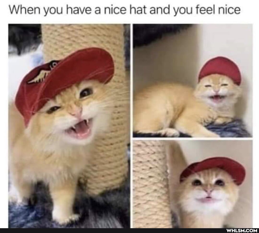 When you have a nice hat and you feel nice