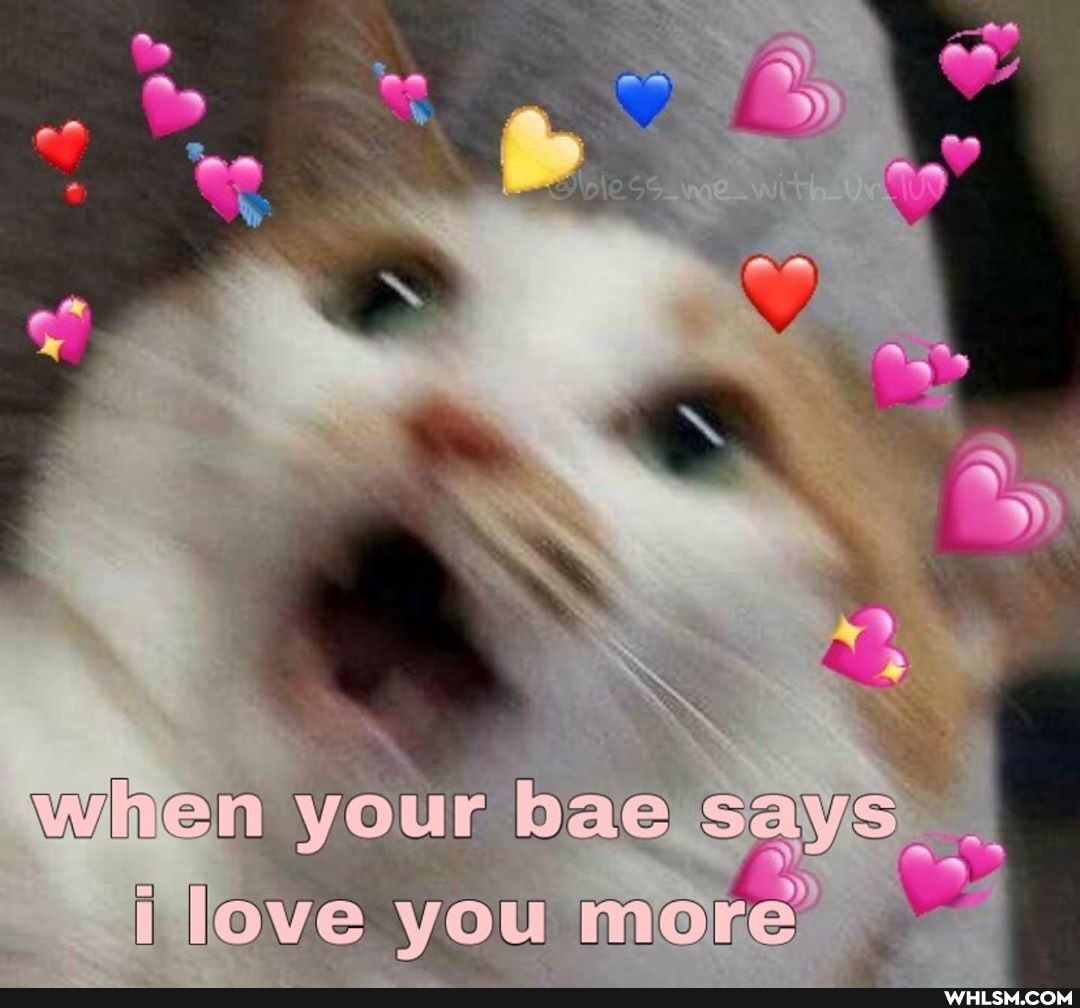 winen your baeysays love you more