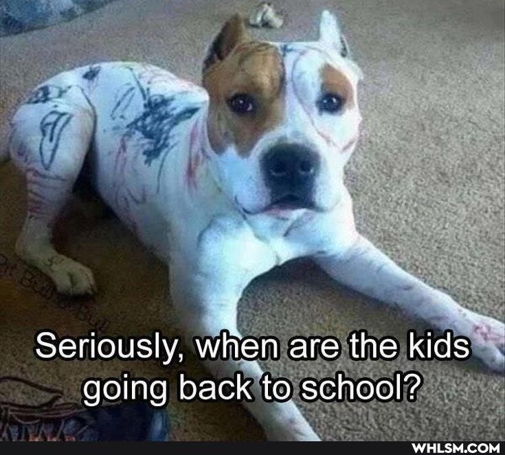Seriously, when are the kids going back to schoal'?