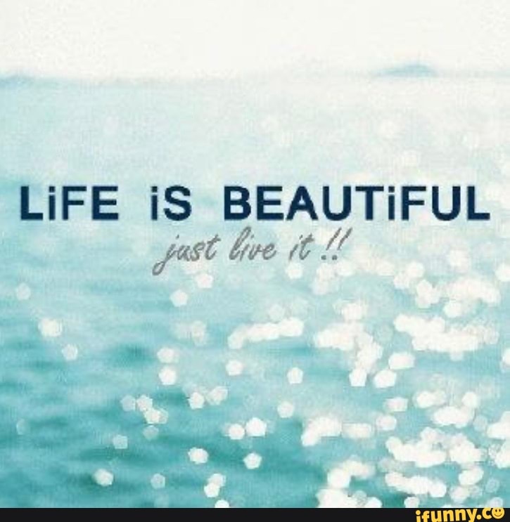 LIFE iS BEAUTIFUL
dive