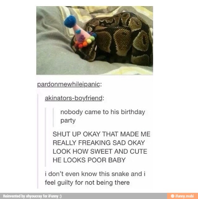 akinators-boyfriend:
nobody came to his birthday
party
SHUT UP OKAY THAT MADE ME
REALLY FREAKING SAD OKAY
LOOK HOW SWEET AND CUTE
HE LOOKS POOR BABY
i don't even know this snake and i
feel guilty for not being there
