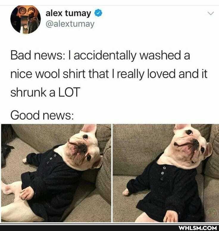 Le) alex tumay
@alextumay
Bad news: I accidentally washed a nice wool shirt that I really loved and it shrunk a LOT
Good news:
