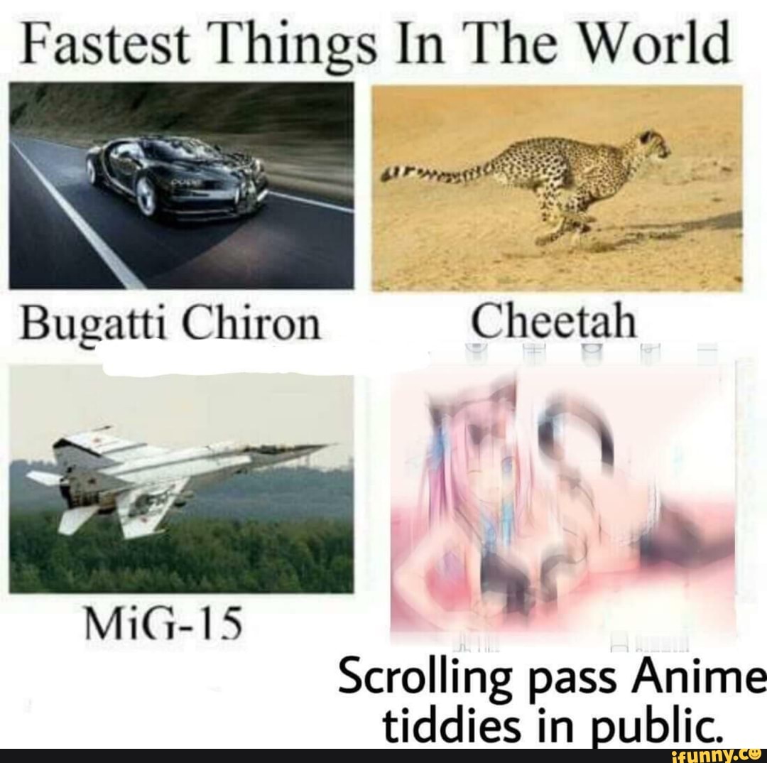 Fastest Things In The World
Bugatti Chiron SAN
MiG-15
Scrolling pass Anime
tiddies in public.